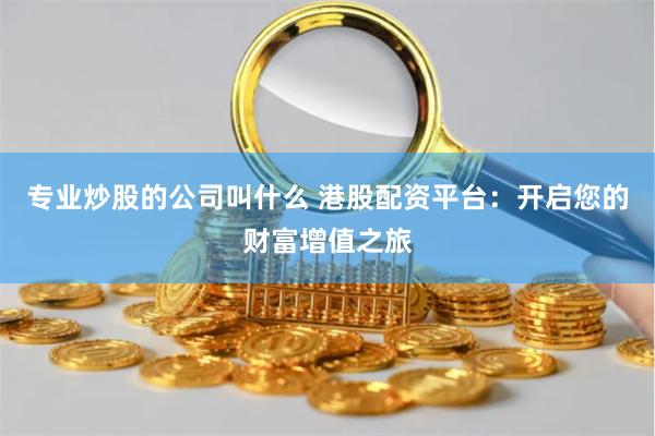 专业炒股的公司叫什么 港股配资平台：开启您的财富增值之旅
