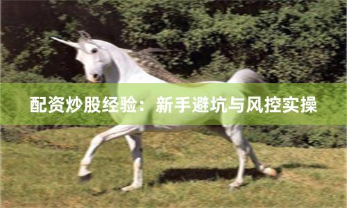 配资炒股经验：新手避坑与风控实操
